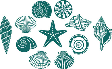 Teal green line art vector illustration of various seashells and starfish shells isolated on white background for marine themed design.