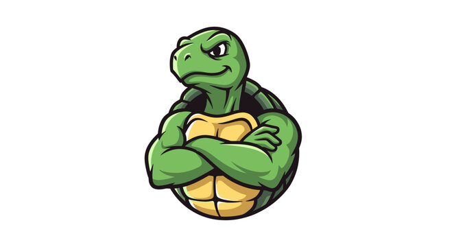 Strong green turtle cartoon with crossed arms, flexing muscles, on white