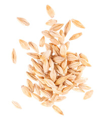 Malted barley grains isolated on white background. Barley seeds close up. Clipping path. Top view.