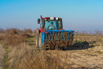 Fototapeta premium Farmer driving tractor carrying pruned branches in field