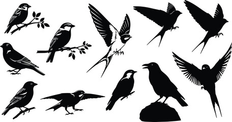 Fototapeta premium Bird silhouettes vector illustration, perched flying swooping standing on branches and rocks, decorative black and white avian artwork design elements