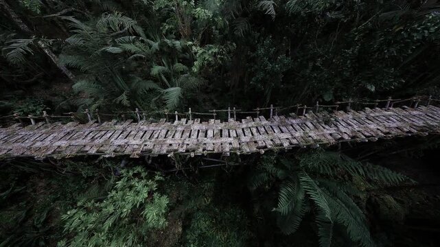 Aerial rickety rope bridge over dense temperate forest, drone perspective shows weathered planks, moss growth, deep green canopy, leading lines creating vertigo