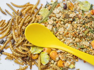 Close-up of natural pet food ingredients, including mixed seeds and protein-rich dried insect larvae, with plastic yellow scoop, perfect for marketing rodent, reptile, or poultry treats © myschka79
