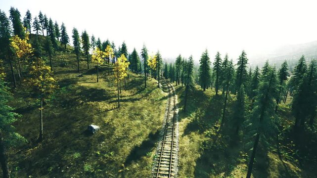 Golden autumn railway weaving through sunlit trees, yellow foliage and warm tones, textured sleepers and gravel path create nostalgic, peaceful outdoor scene