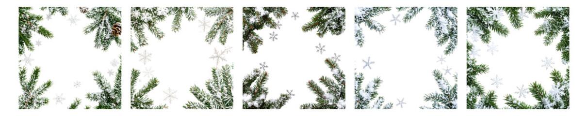 Snowy Winter Landscape with Frosted Pine Branches and Green Forest, Isolated on Transparent, white background