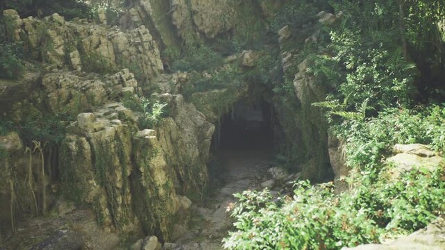 Shadowed cave entrance framed by rugged rocks, cool interior darkness and mossy rim, spelunker curiosity and quiet ominous atmosphere, fern growth at threshold