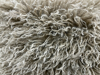 Close-up of thick, curly beige wool fibers creating a soft, fluffy texture. Ideal for backgrounds, textile design, or cozy home decor concepts. © Martins