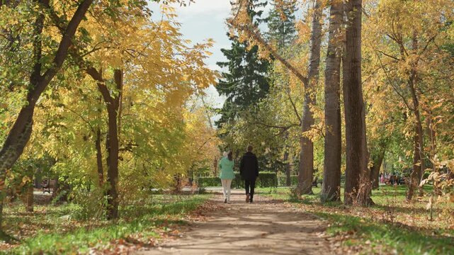 Old man wandering beneath autumn foliage. Senior individual casually wandering in fall park scenery. Mature person leisurely explores park during golden autumn days while reflecting
