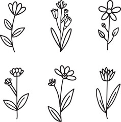 Set hand drawn curly grass and flowers on white isolated background. Botanical illustration.