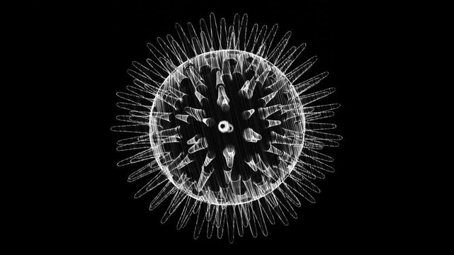 Holographic Virus Concept 3D Loop Animation

A seamless looping 3D animation of a holographic virus particle on a black background. High-quality visualization for medical, scientific, or futuristic te