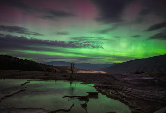 Aurora over Mammoth Hot Springs