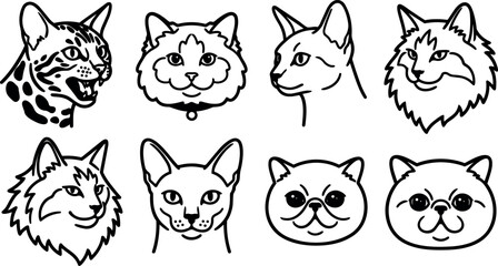 Fototapeta premium Line art close up eight cat head icons showing different breeds expressions arranged in neat grid on white minimalist background