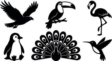 Fototapeta premium Silhouette vector bird icon set showing peacock spread wings penguin hummingbird eagle toucan flamingo in flat black style detailed minimal