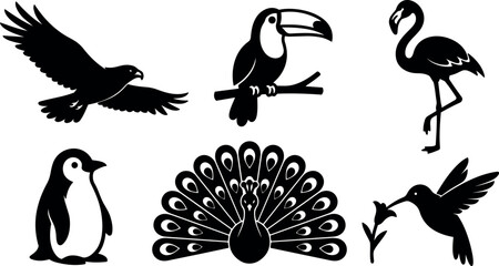 Fototapeta premium Flat vector silhouette of six birds with flying eagle perched toucan standing flamingo penguin peacock spreading tail and hummingbird feeding