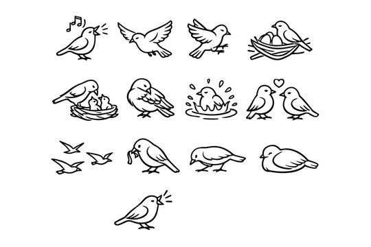 Bird Behaviors. Line icon set of Bird Behaviors: bird singing, bird flying, bird landing, bird nesting, bird feeding chicks, bird preening, bird bathing, bird