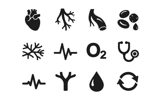 Circulatory system. Solid icon set of circulatory system: heart, arteries, veins, blood cells, capillaries, pulse, oxygen molecule, stethoscope, ECG line, vein
