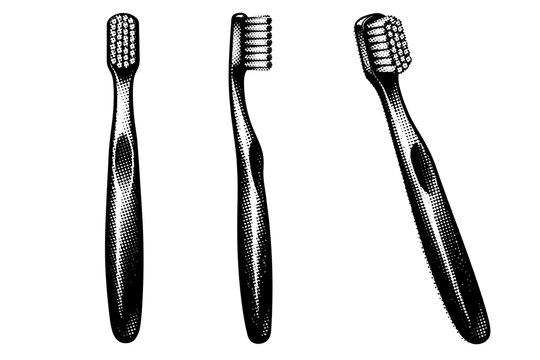 Toothbrush A classic manual toothbrush depicted as a single object, shown from front, side, and three-quarter views with realistic handle thickness and bristle