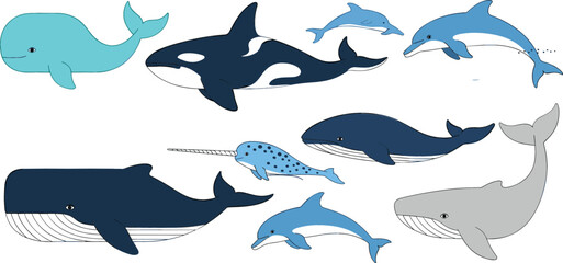 Whales and Dolphins Illustration Set – Cute Ocean Mammals Collection in Flat Cartoon Style © Mst
