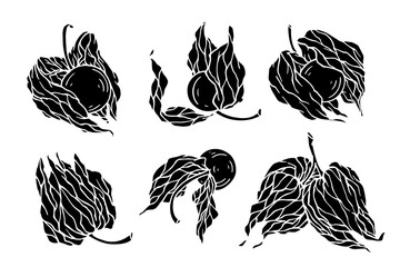 Set of seasonal physalis berry silhouettes and stamps. Vector graphics. © Катерина Якубович