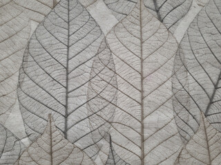 Obraz premium Abstract neutral textured background with soft surface detail and minimal abstract appearance for versatile creative use.