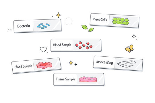 Biology research. Several microscope slides with simple labels arranged in a minimal layout. Quiet academic setting with gentle decorative icons. Minimalist