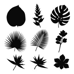 Fototapeta premium Botanical Silhouettes: A collection of meticulously crafted, elegant black silhouette illustrations of diverse tropical flora, offering a touch of natural beauty and graphic flair.