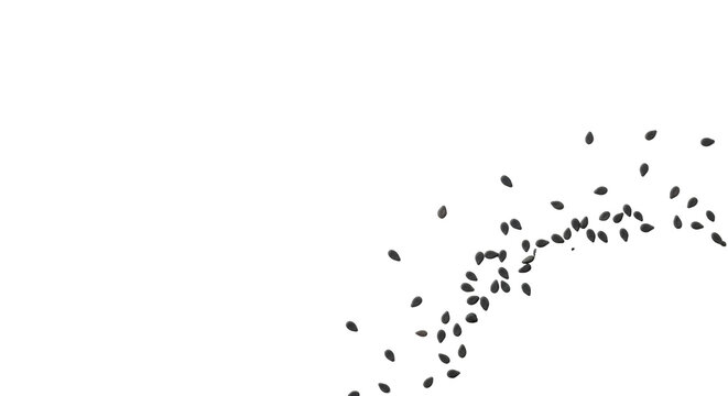 Pristine, teardrop-shaped black sesame seeds artfully scattered on a transparent smooth background with copy space on the left, top-down flat lay. Concept of high-quality ingredients