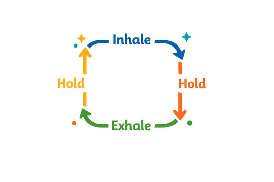 Box breathing technique visualized through a rounded square path with arrows moving along four equal sides labeled Inhale Hold Exhale Hold. A clean and