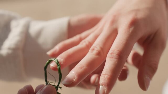 Sandy finger with green ring on caucasian hand. Beachside closeup shows textured sand and emerald band sliding onto ring finger, sunlit glow and gentle movement capture joyful marriage moment