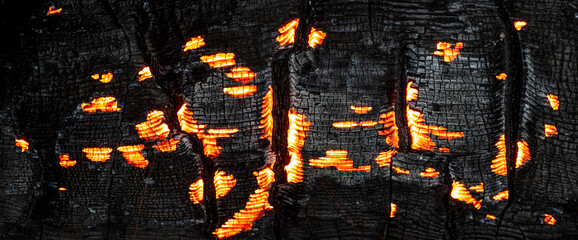 Fototapeta premium Black charred and scorched wood with glowing embers background 