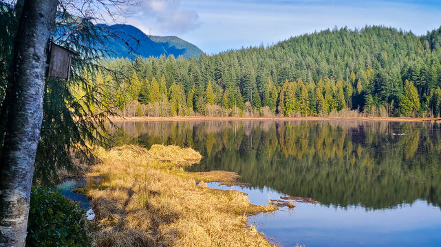 Tranquil landscape of Minnekhada Regional Park with mirror reflection of forest and mountains on marsh water in Coquitlam, BC, Canada.