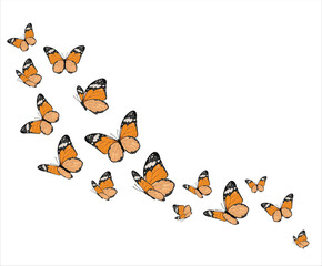 vector illustration of a set of butterflies