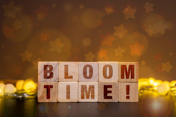Bloom Time wooden blocks with warm fairy lights and star bokeh for personal development