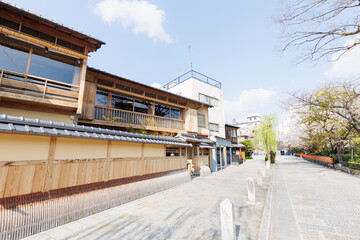 京都・祇園白川と桜