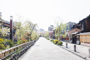 京都・祇園白川と桜