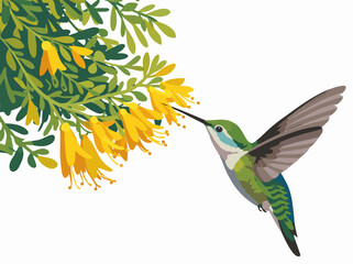 Anna's hummingbird feeding on nectar © PixilRay