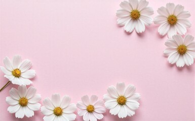 Fototapeta premium White daisies arranged on soft pink background, creating a gentle floral frame.