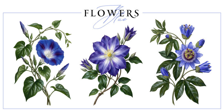 Blue flowers isolated on a white background. Vintage painting style illustration.