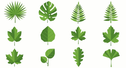 Obraz premium Collection of various green leaves and foliage illustrations displayed together on a clean background from a direct viewpoint