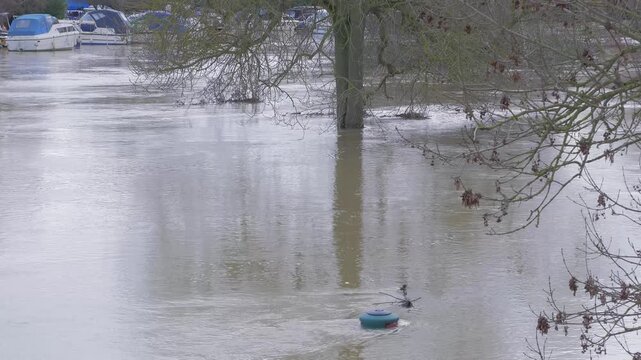 Flooded river and park, submerged waste bin, partially submerge tree, boats in background, fast flowing water