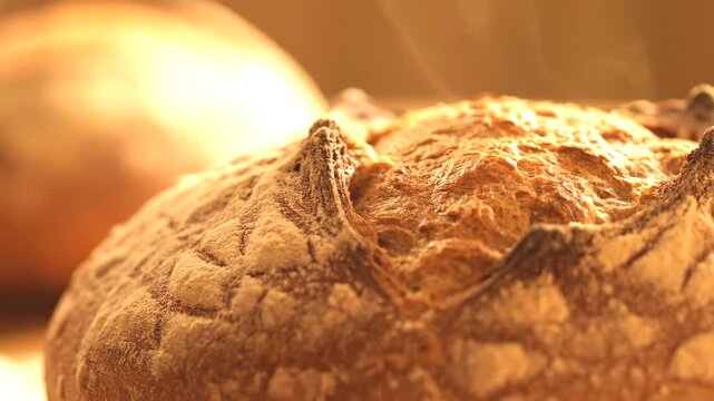Extreme close-up of freshly baked artisan bread with a crispy golden crust and rising steam under warm soft backlighting against a blurred background