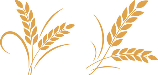 Fototapeta premium Elegant Wheat Spray Harvest Illustration