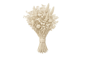 Dried flowers bouquet with pampas grass and botanical arrangement
