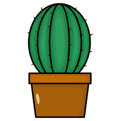 cactus in a pot