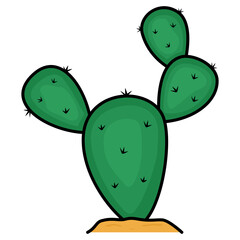 cactus prickly pear vector