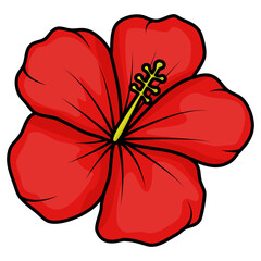 red hibiscus flower