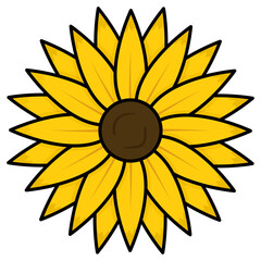 sunflower vector illustration
