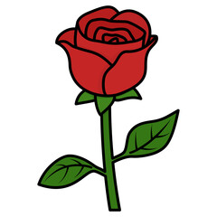 red rose vector illustration