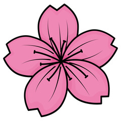 pink sakura flower vector illustration