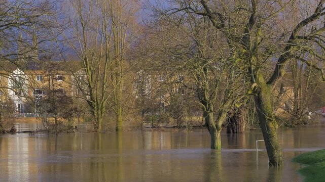 trees submerged in flooded riverside park, buildings and church in background, bright winter sunshine lighting